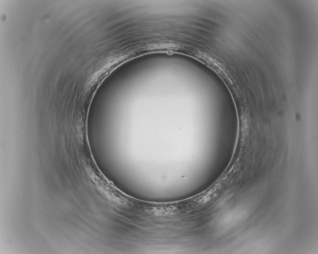 X0000060260345200511112027