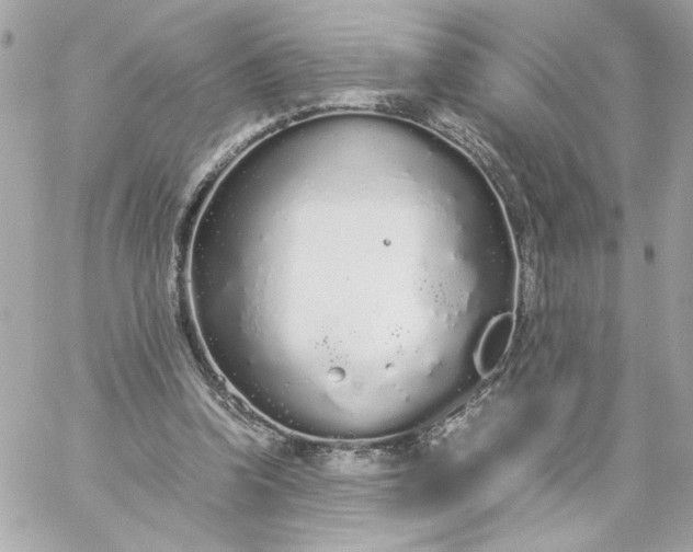 X0000060260346200511112027