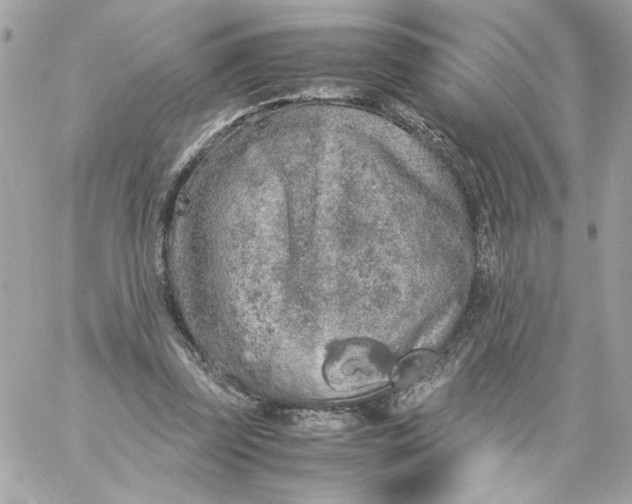 X0000060260347200511112027