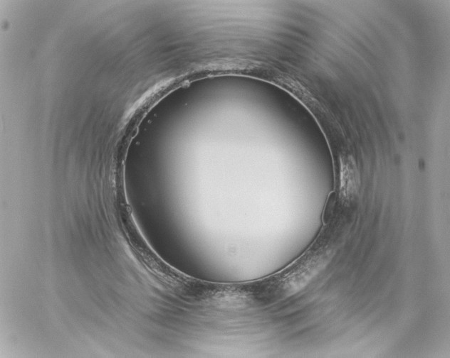 X0000060260348200511112027