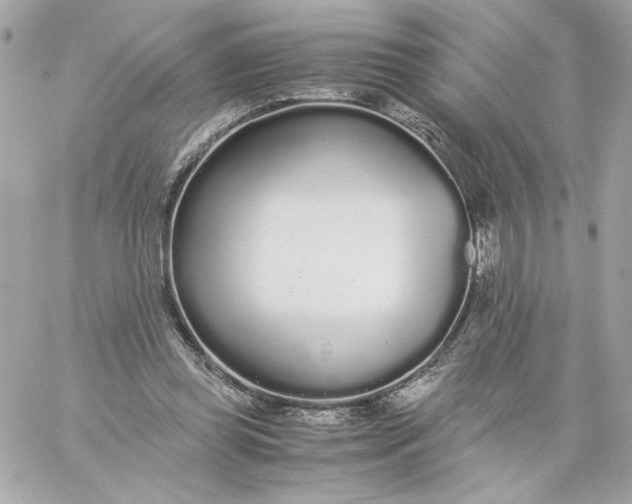 X0000060260349200511112027