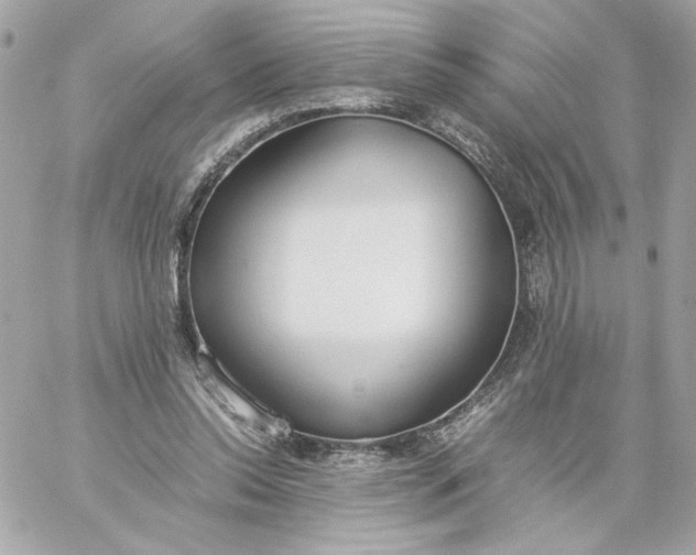 X0000060260350200511112027