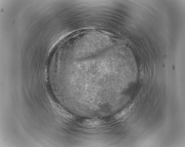 X0000060260351200511112027