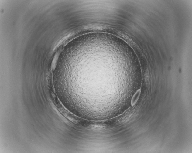 X0000060260352200511112027