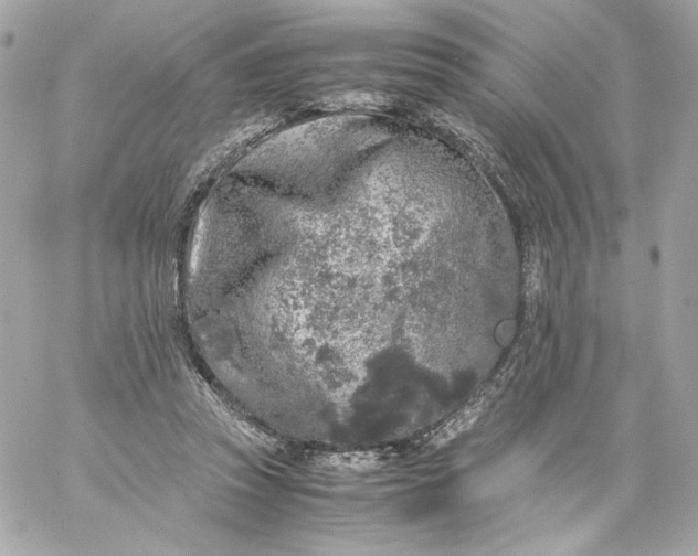 X0000060260353200511112027