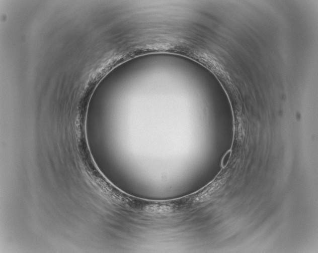 X0000060260354200511112027