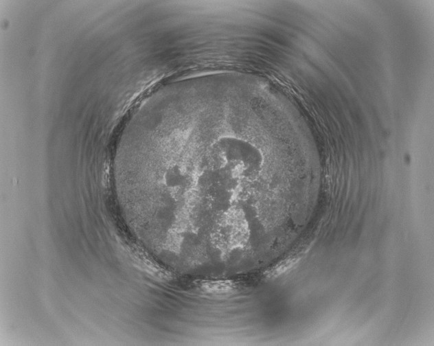 X0000060260355200511112027