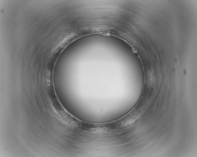 X0000060260356200511112027