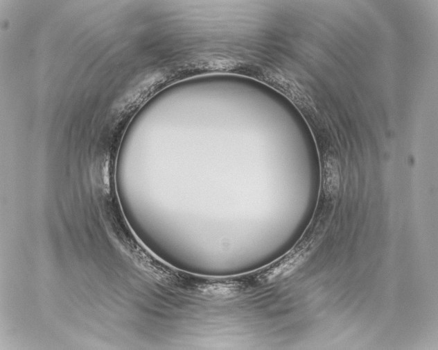 X0000060260358200511112027