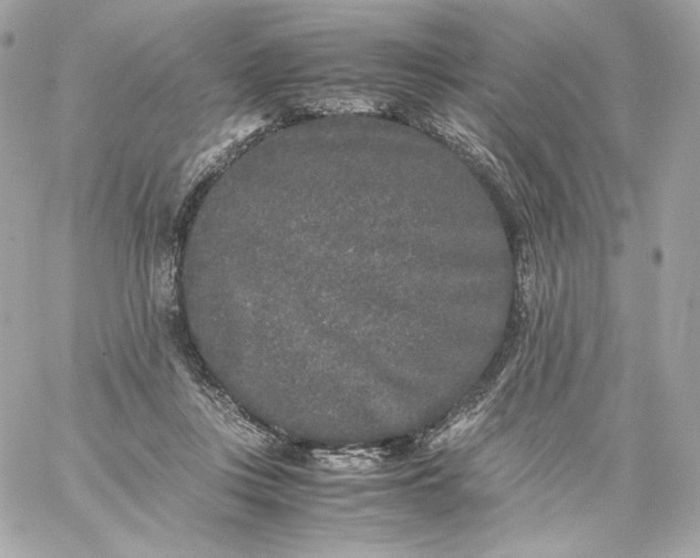 X0000060260359200511112027