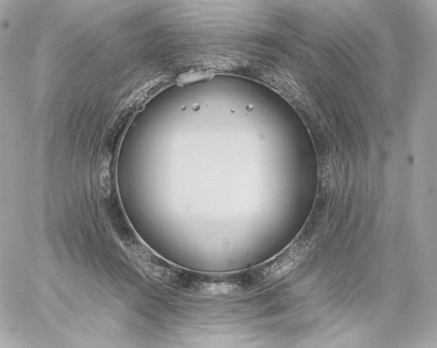 X0000060260360200511112027