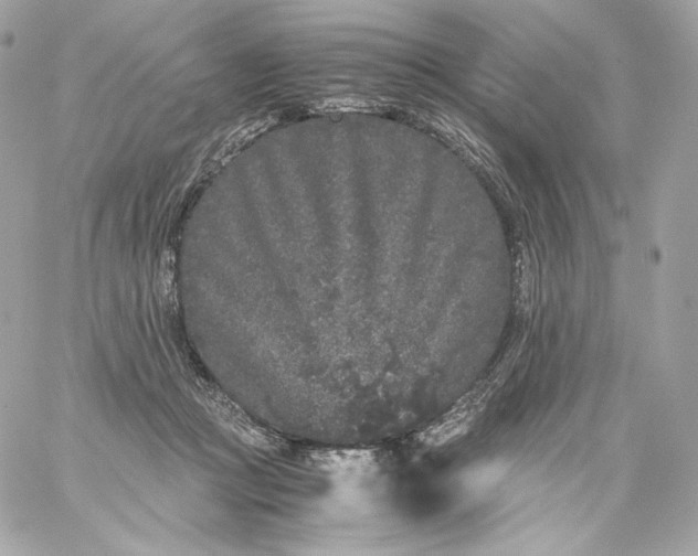 X0000060260361200511112027