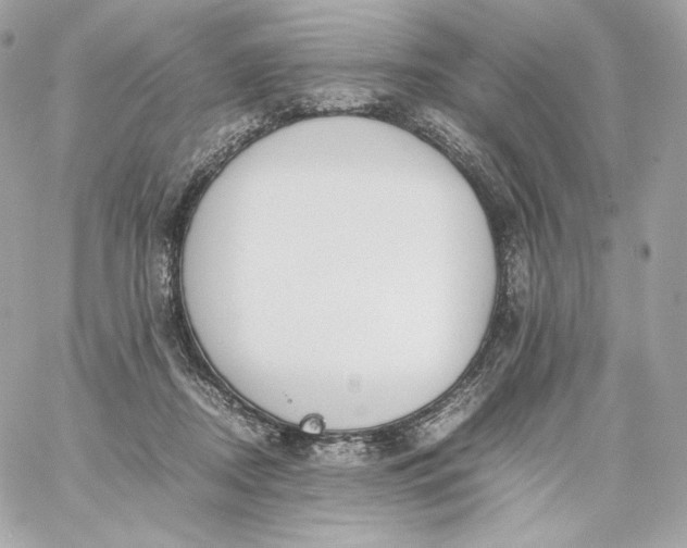 X0000060260362200511112027