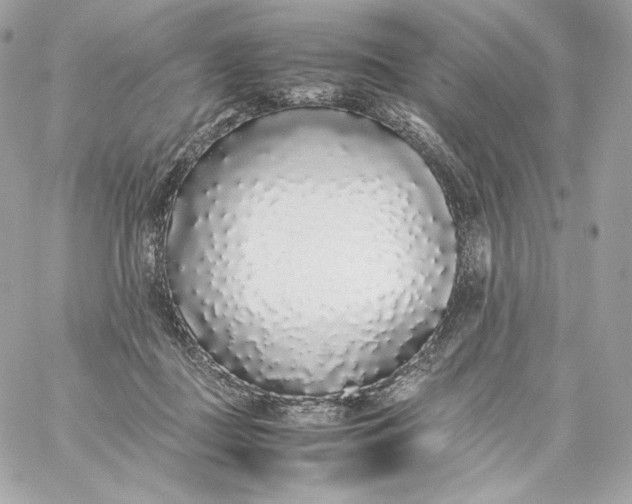 X0000060260363200511112027