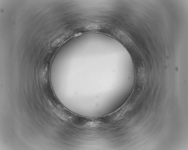 X0000060260364200511112027