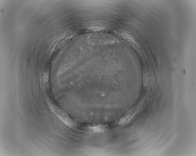 X0000060260365200511112027