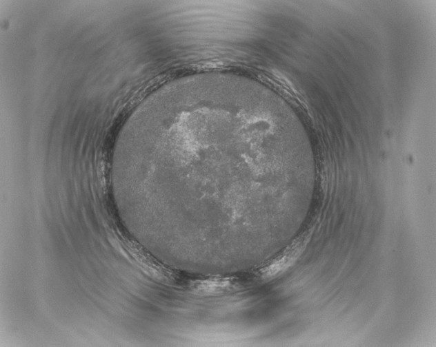 X0000060260366200511112027