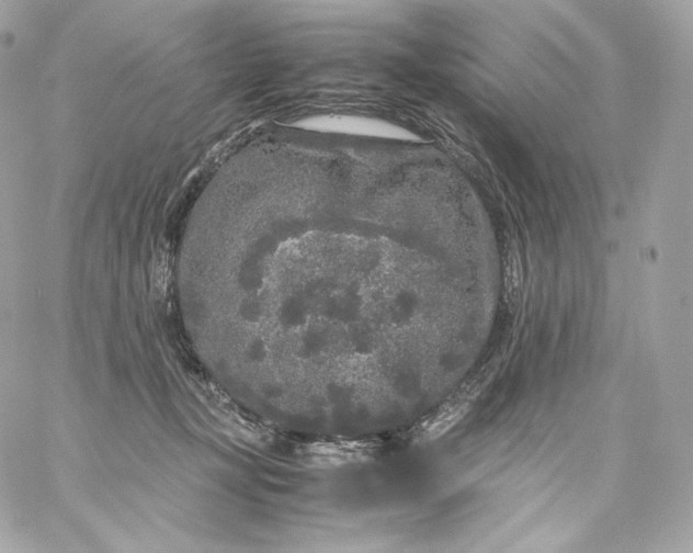 X0000060260367200511112027