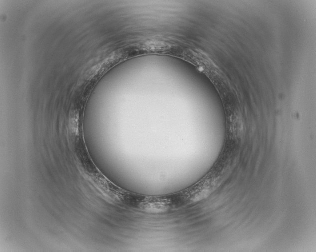 X0000060260368200511112027