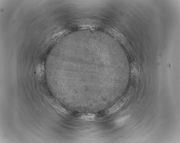 X0000060260369200511112027