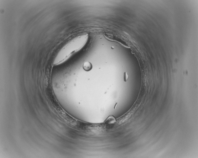 X0000060260370200511112027