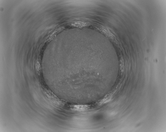 X0000060260371200511112027