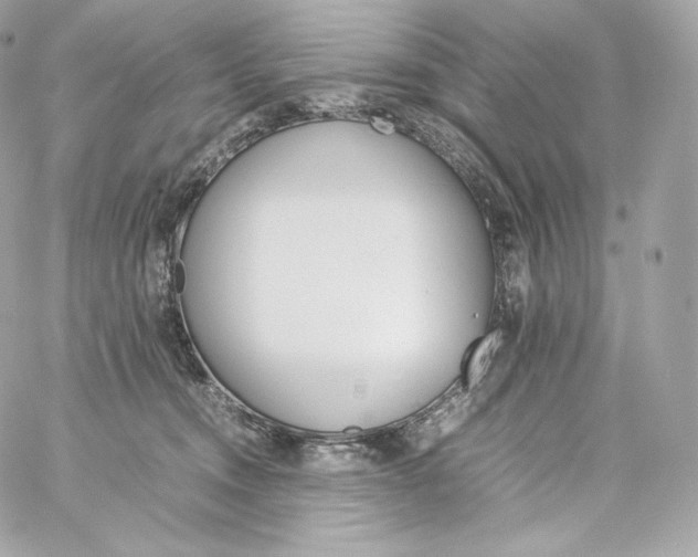 X0000060260372200511112027