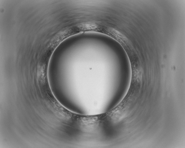 X0000060260373200511112027