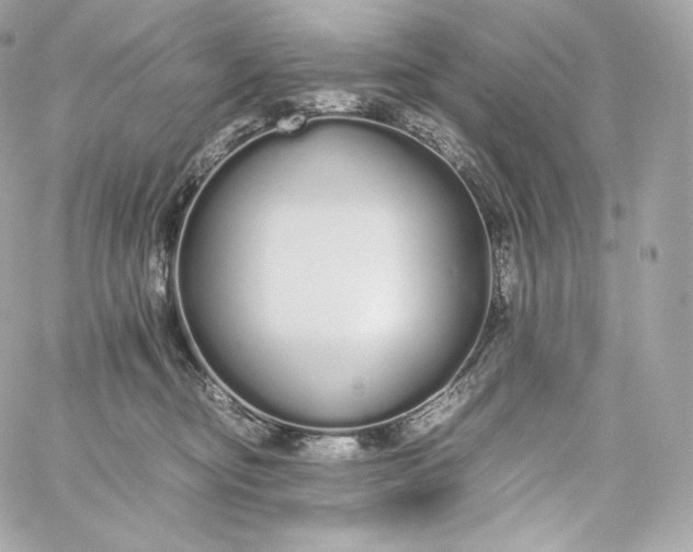 X0000060260374200511112027