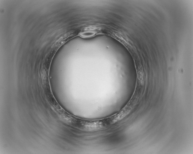 X0000060260375200511112027