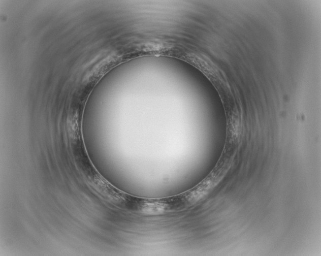 X0000060260376200511112027