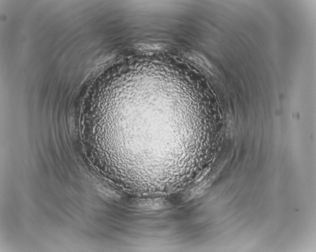 X0000060260377200511112027