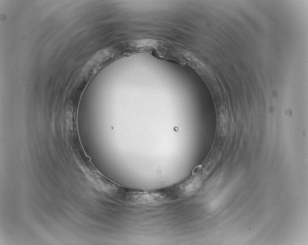 X0000060260379200511112027