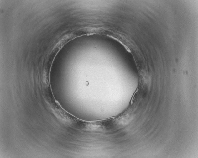 X0000060260380200511112027