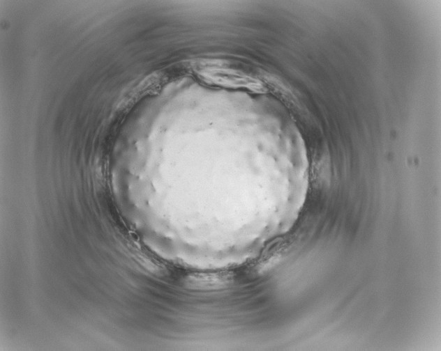 X0000060260381200511112027