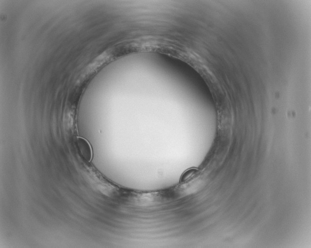 X0000060260382200511112027