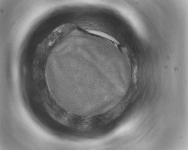 X0000060260383200511112027