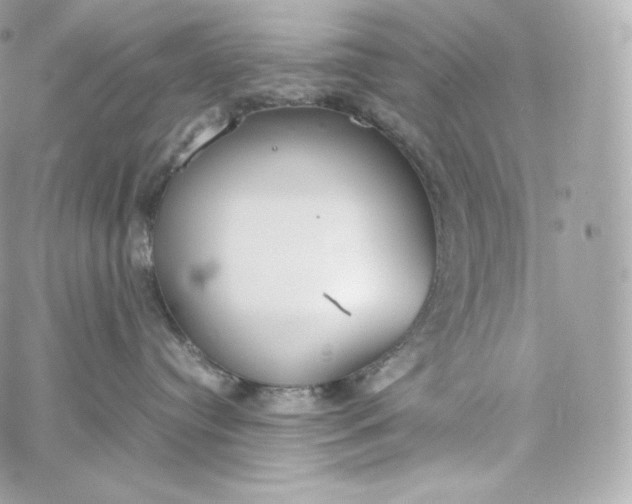 X0000060260384200511112027