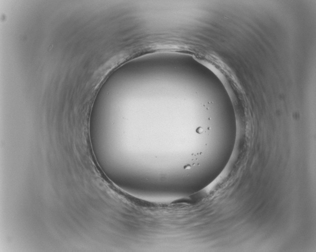 X0000060260385200511112027