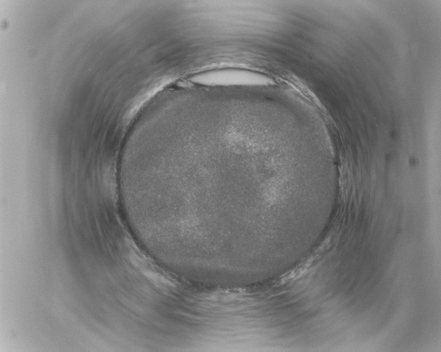 X0000060260386200511112027