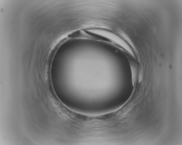 X0000060260387200511112027