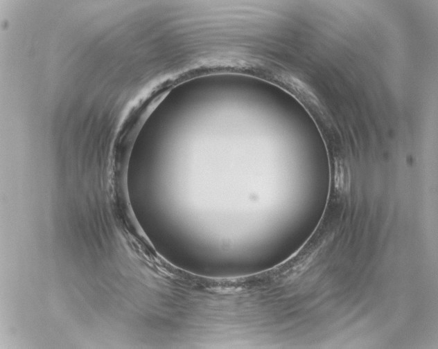 X0000060260388200511112026