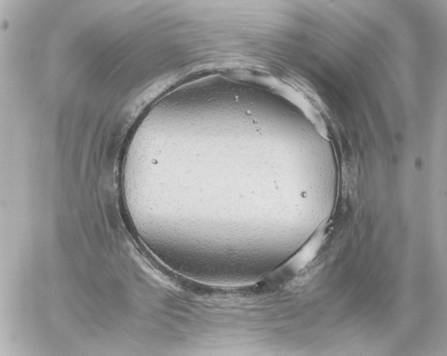 X0000060260389200511112026