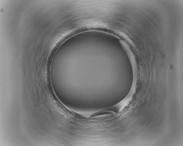 X0000060260391200511112026