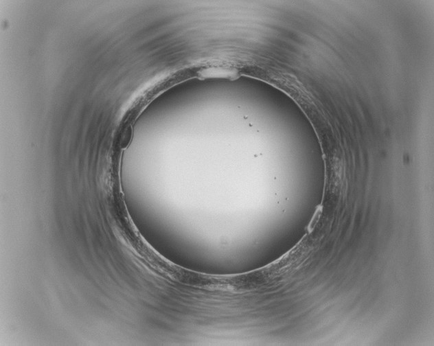 X0000060260392200511112026