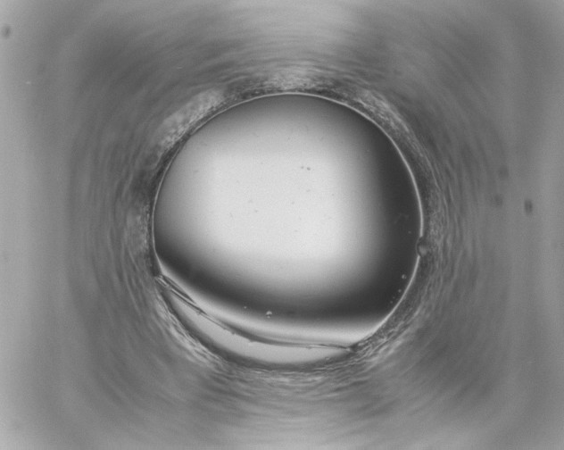 X0000060260393200511112026