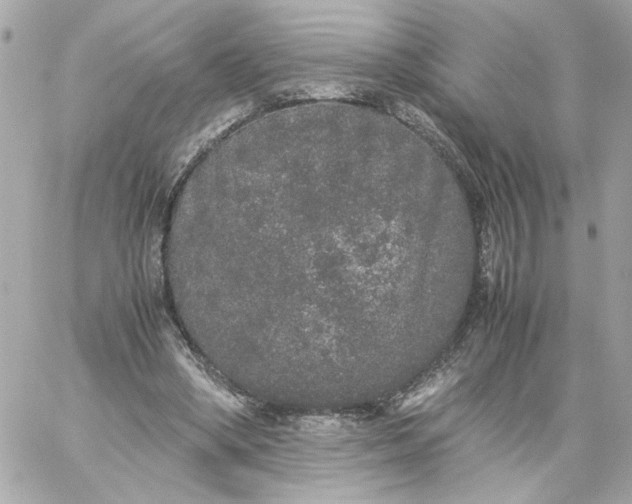 X0000060260394200511112026