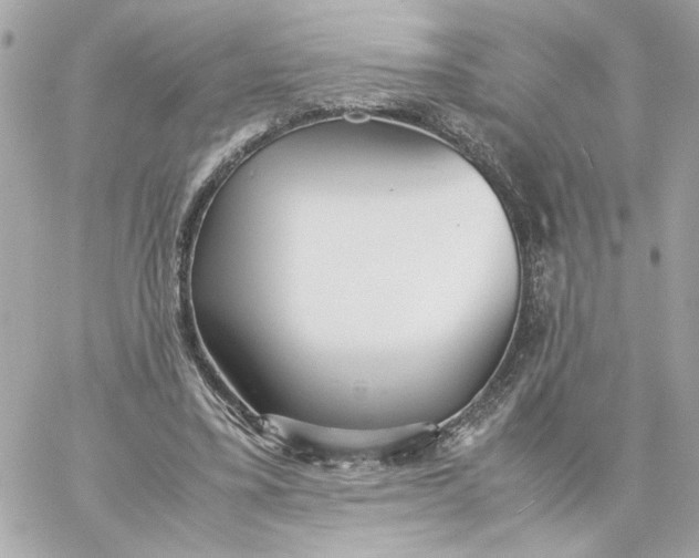 X0000060260395200511112026