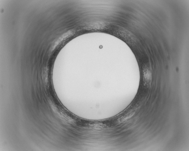 X0000060260396200511112026