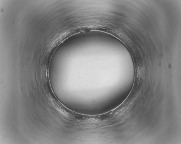 X0000060260397200511112026